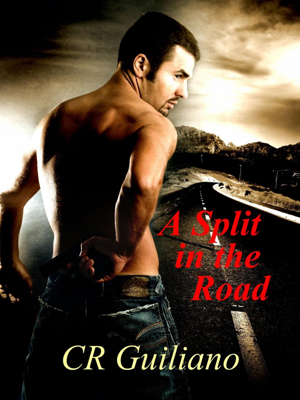 Big bigCover of A Split in the Road, Book 3 of Vampire Wars