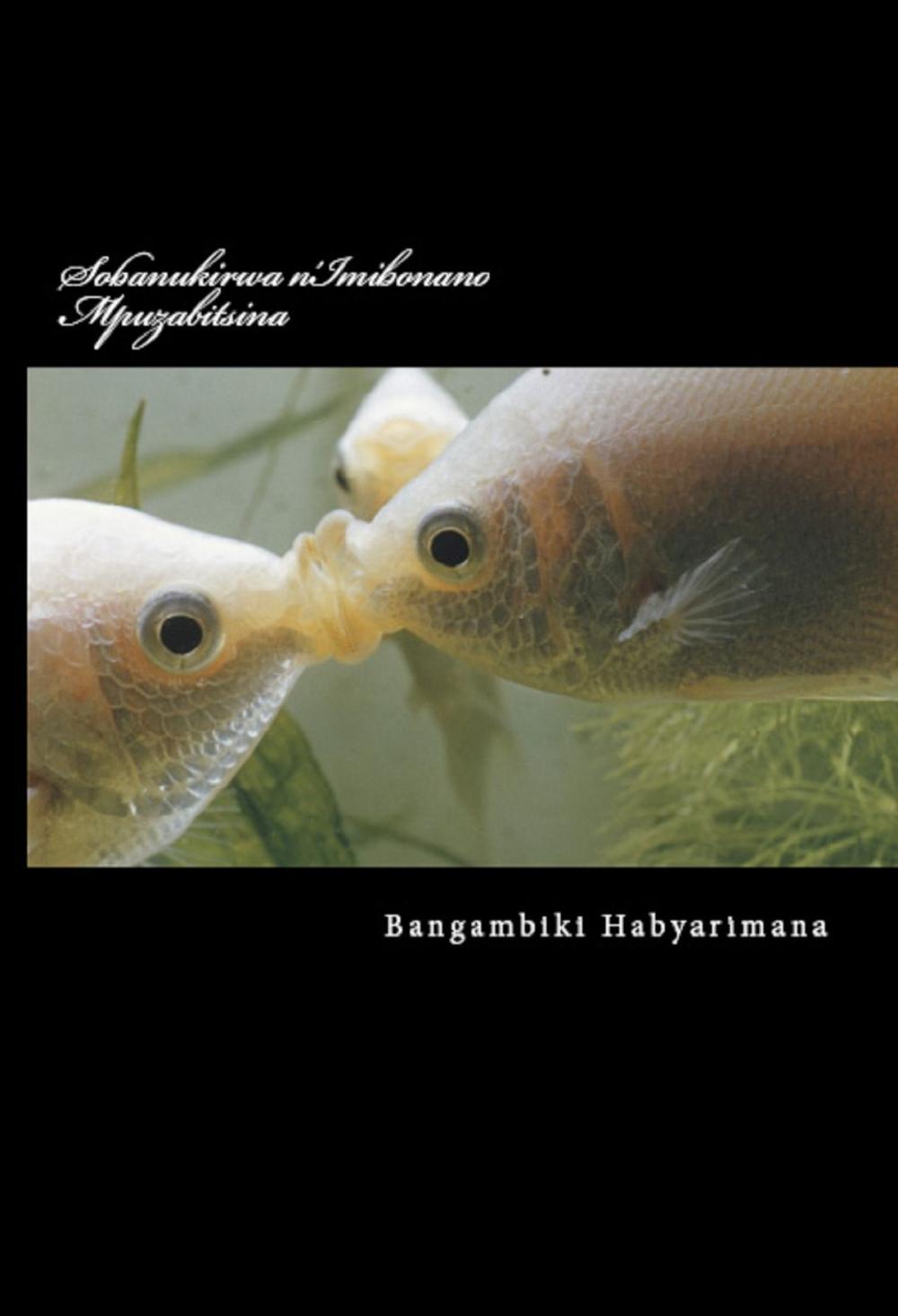 Big bigCover of Sobanukirwa n'Imibonano Mpuzabitsina