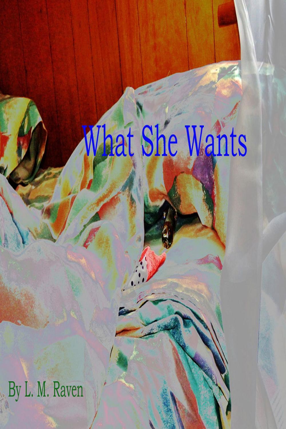 Big bigCover of What She Wants.