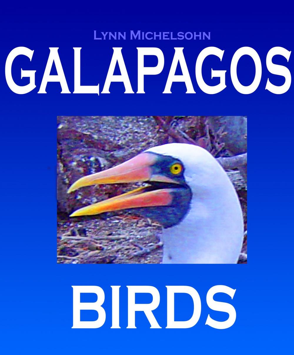 Big bigCover of Galapagos Birds: Wildlife Photographs from Ecuador’s Galapagos Archipelago, the Encantadas or Enchanted Isles, with words of Herman Melville, Charles Darwin, and HMS Beagle Captain Robert FitzRoy