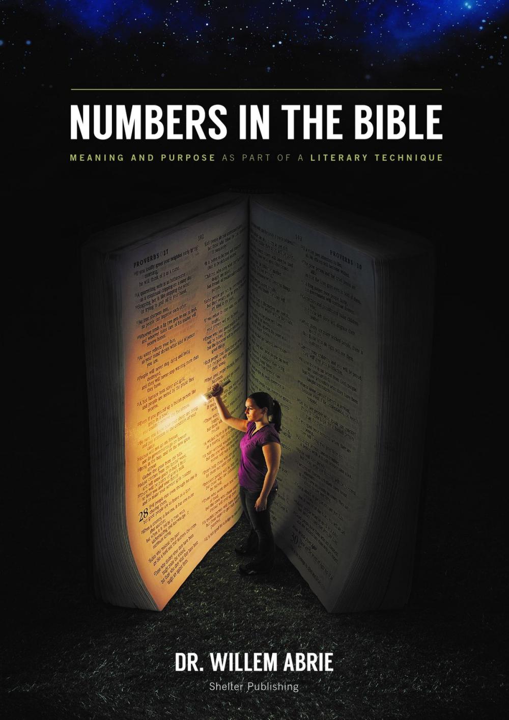 Big bigCover of Numbers in the Bible: Meaning and Purpose as Part of a Literary Technique