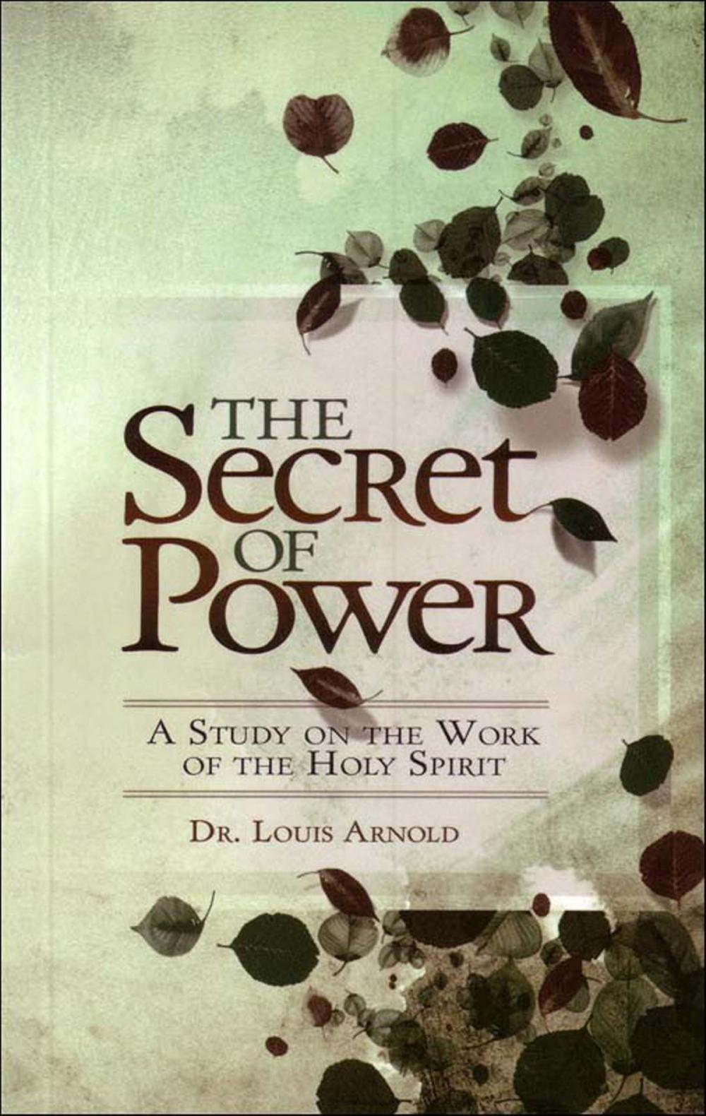 Big bigCover of The Secret of Power