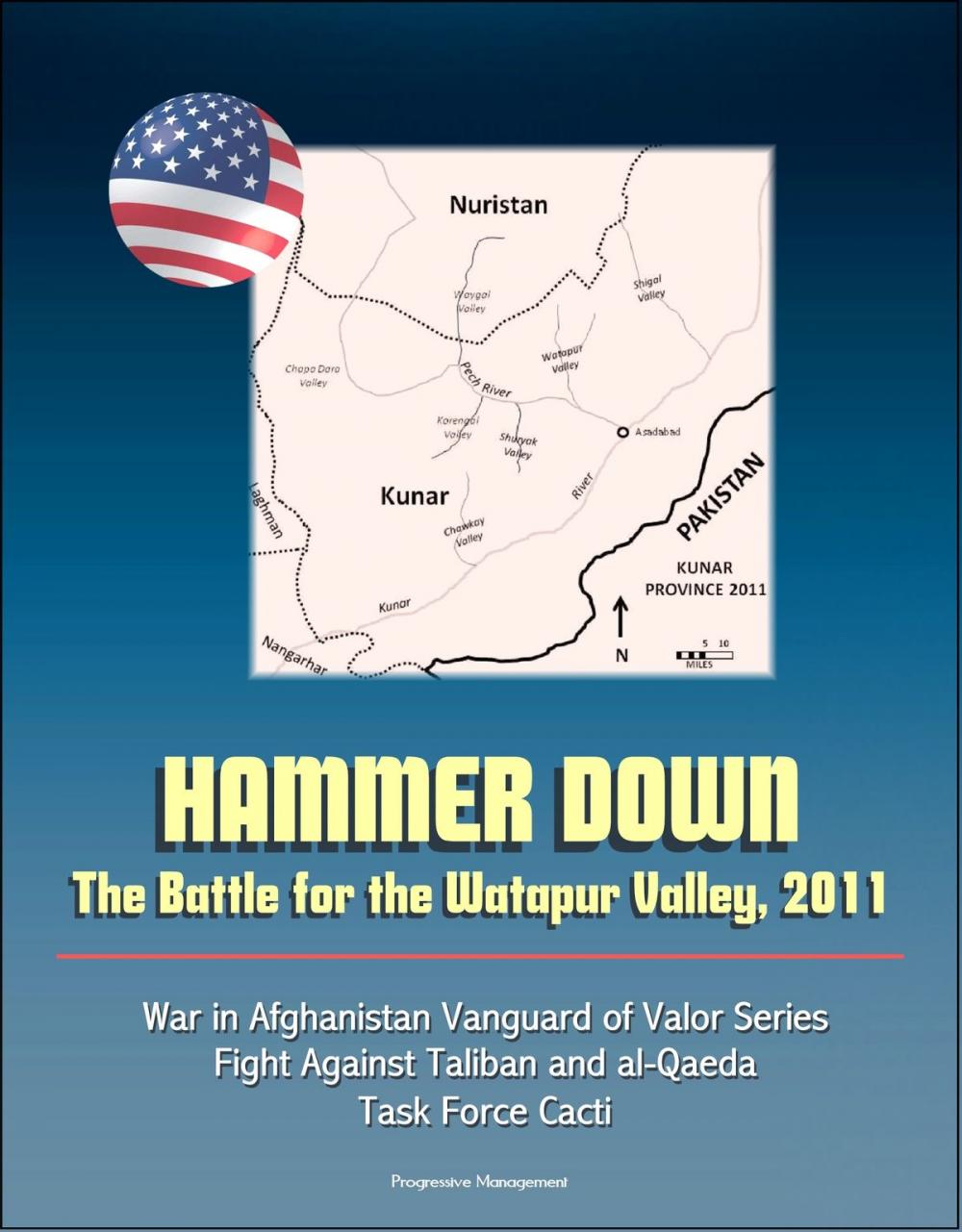 Big bigCover of Hammer Down: The Battle for the Watapur Valley, 2011 - War in Afghanistan Vanguard of Valor Series, Fight Against Taliban and al-Qaeda, Task Force Cacti