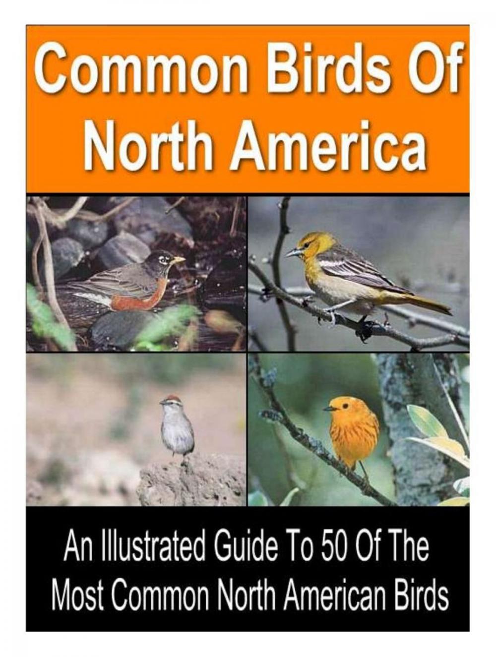 Big bigCover of 50 Common Birds of North America