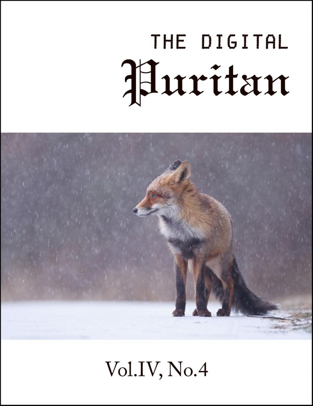 Big bigCover of The Digital Puritan - Vol.IV, No.4