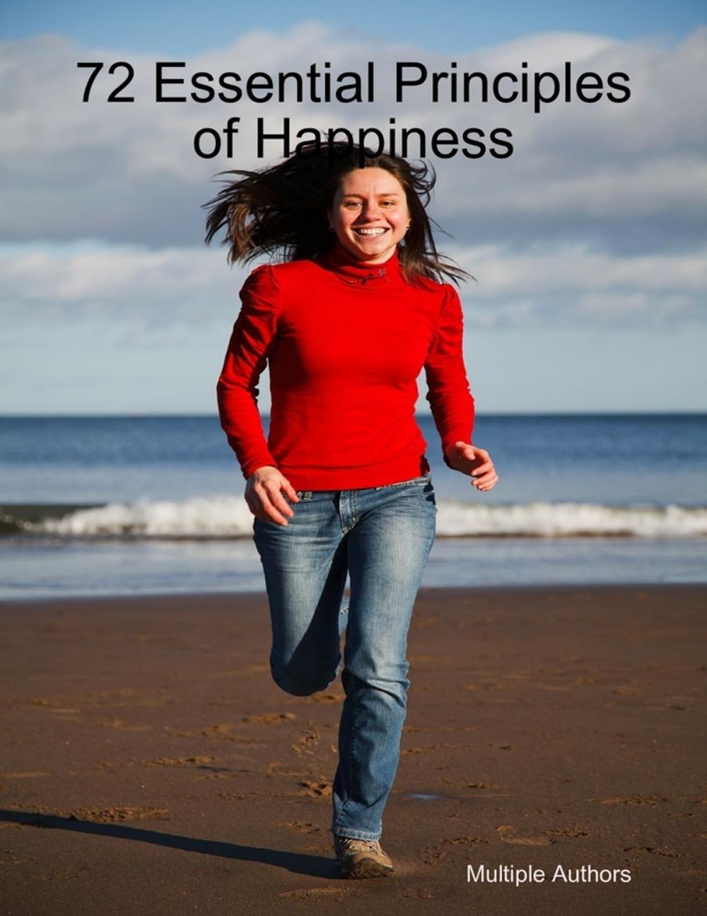 Big bigCover of 72 Essential Principles of Happiness