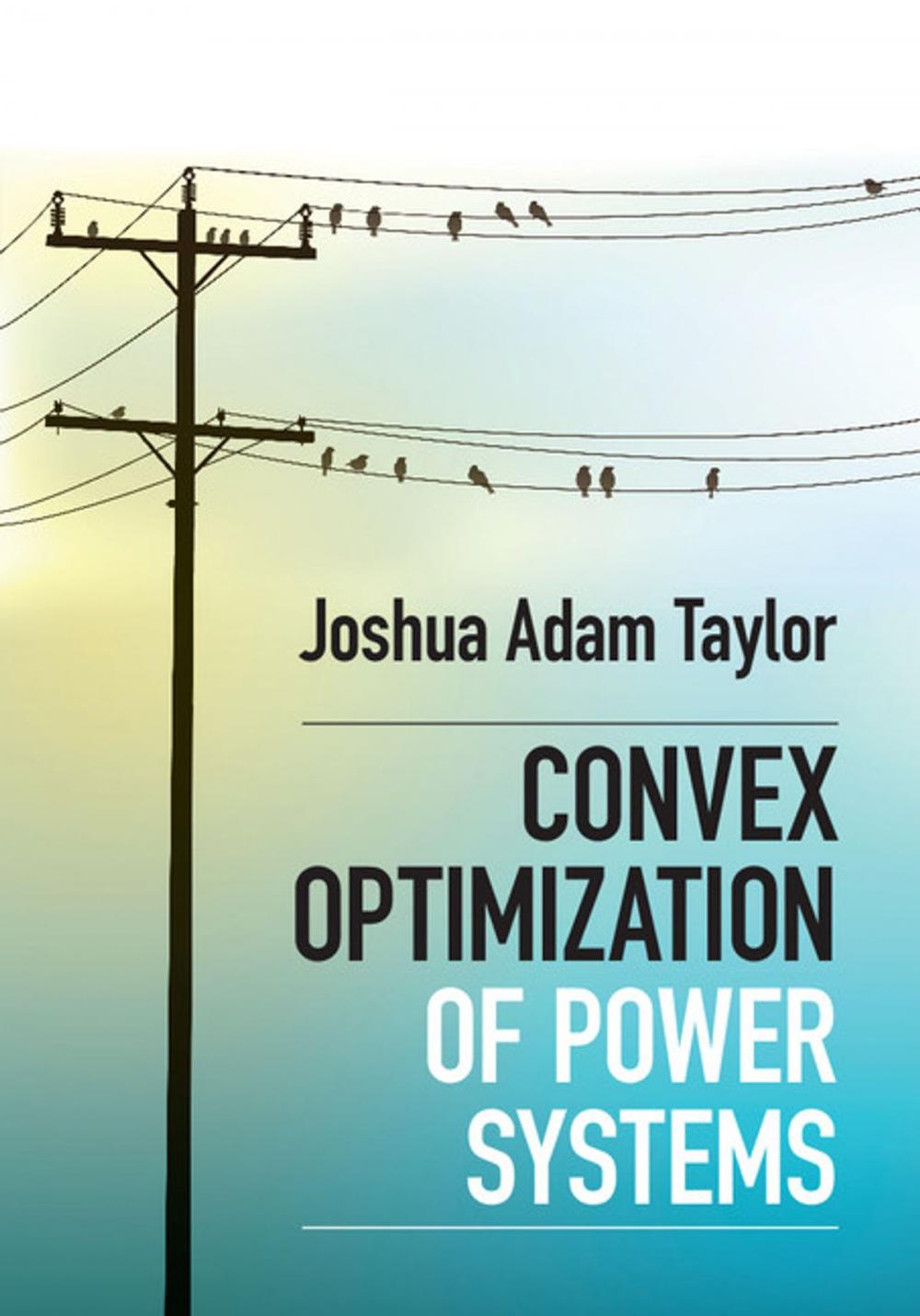 Big bigCover of Convex Optimization of Power Systems