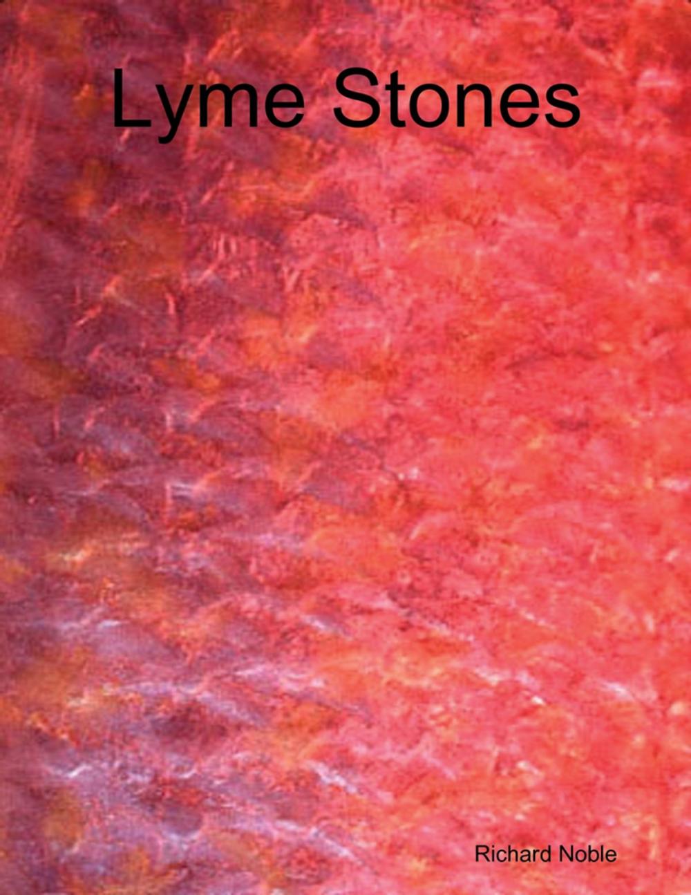 Big bigCover of Lyme Stones