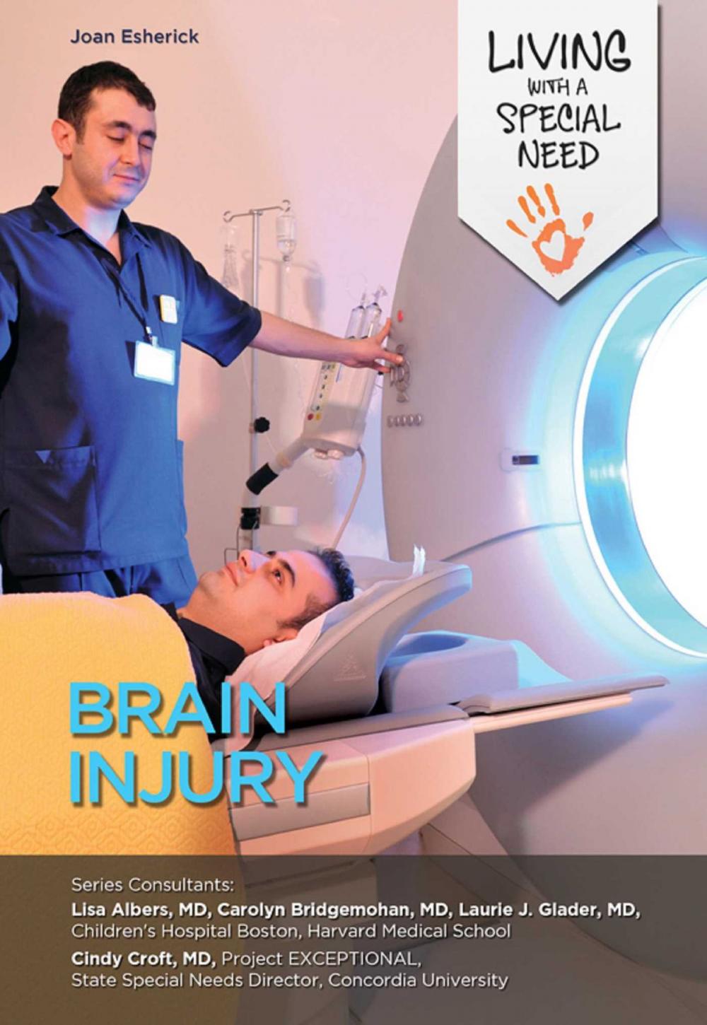 Big bigCover of Brain Injury