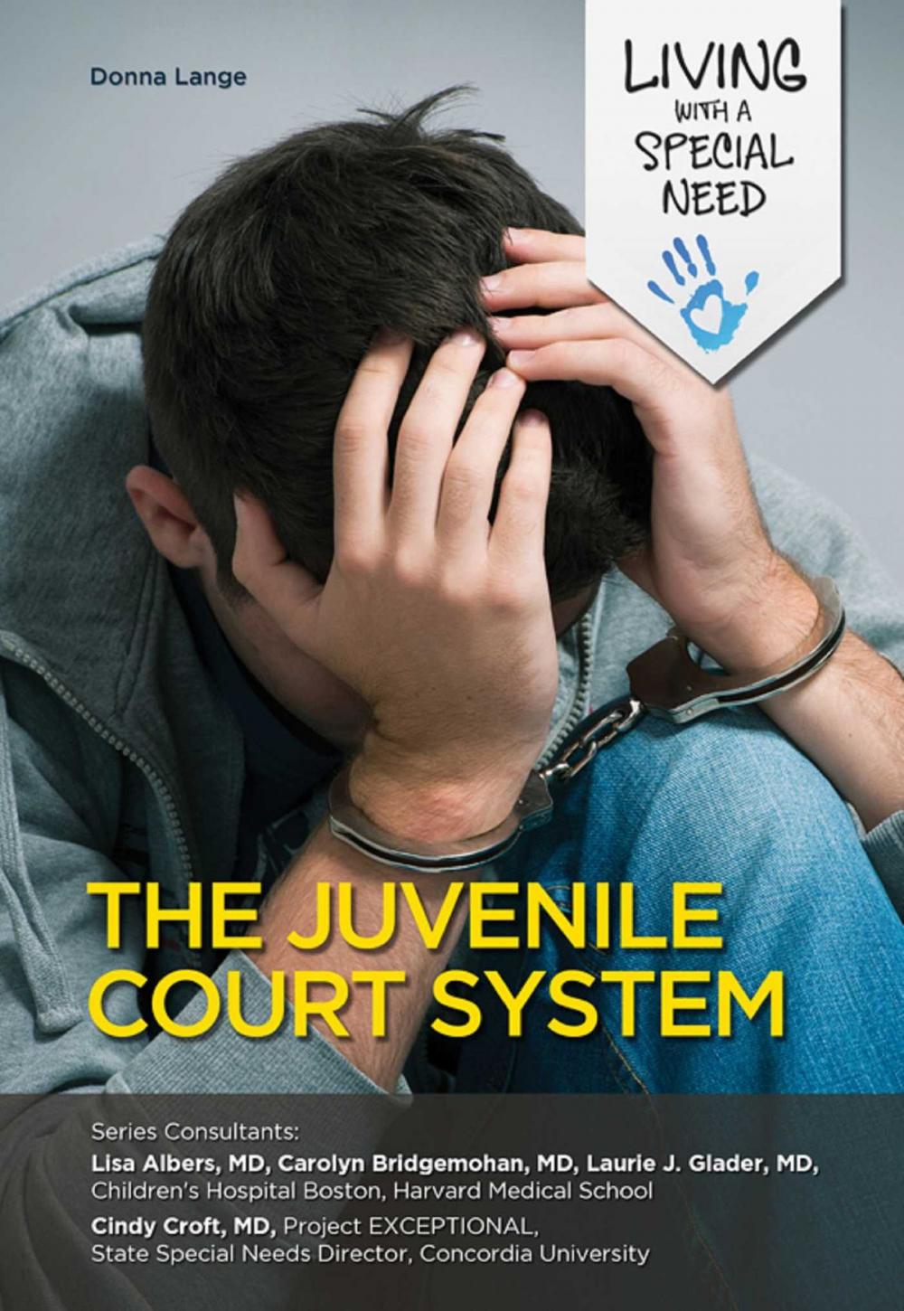 Big bigCover of The Juvenile Court System