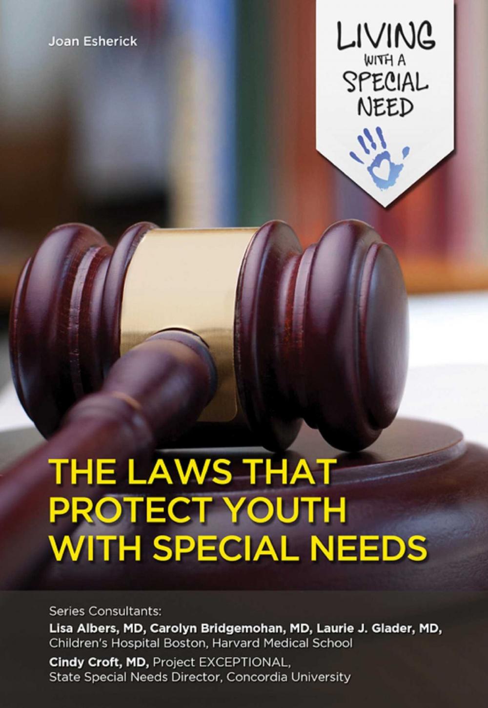 Big bigCover of The Laws That Protect Youth with Special Needs