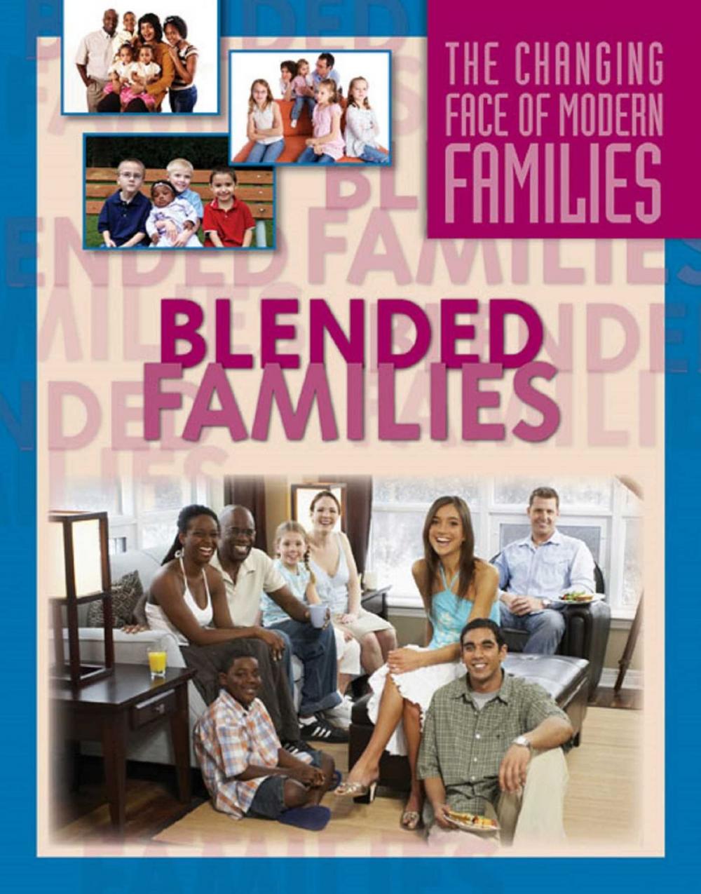 Big bigCover of Blended Families