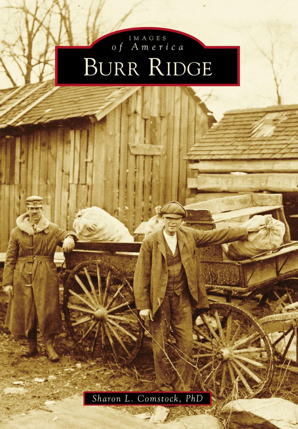 Big bigCover of Burr Ridge