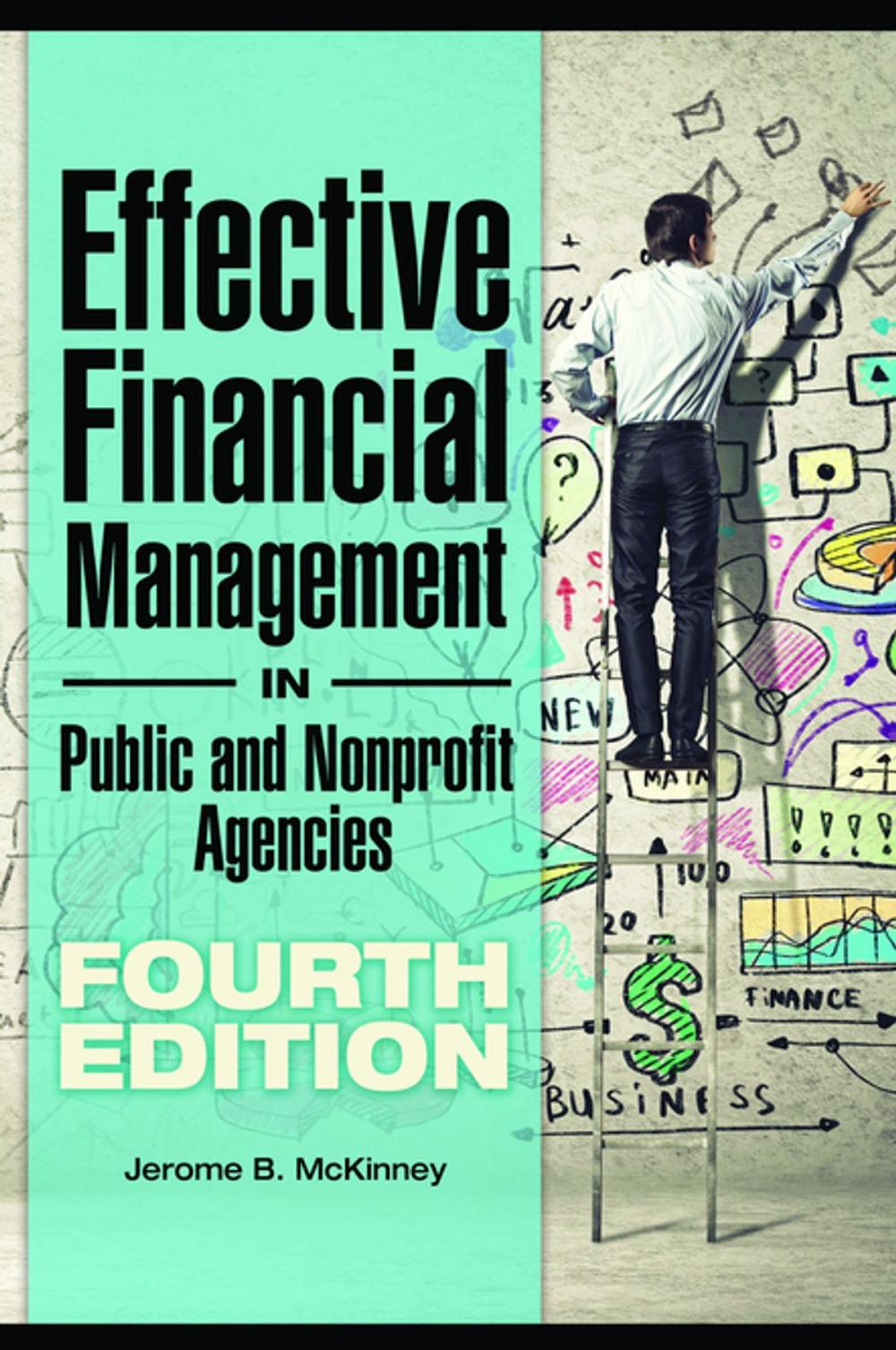 Big bigCover of Effective Financial Management in Public and Nonprofit Agencies, 4th Edition