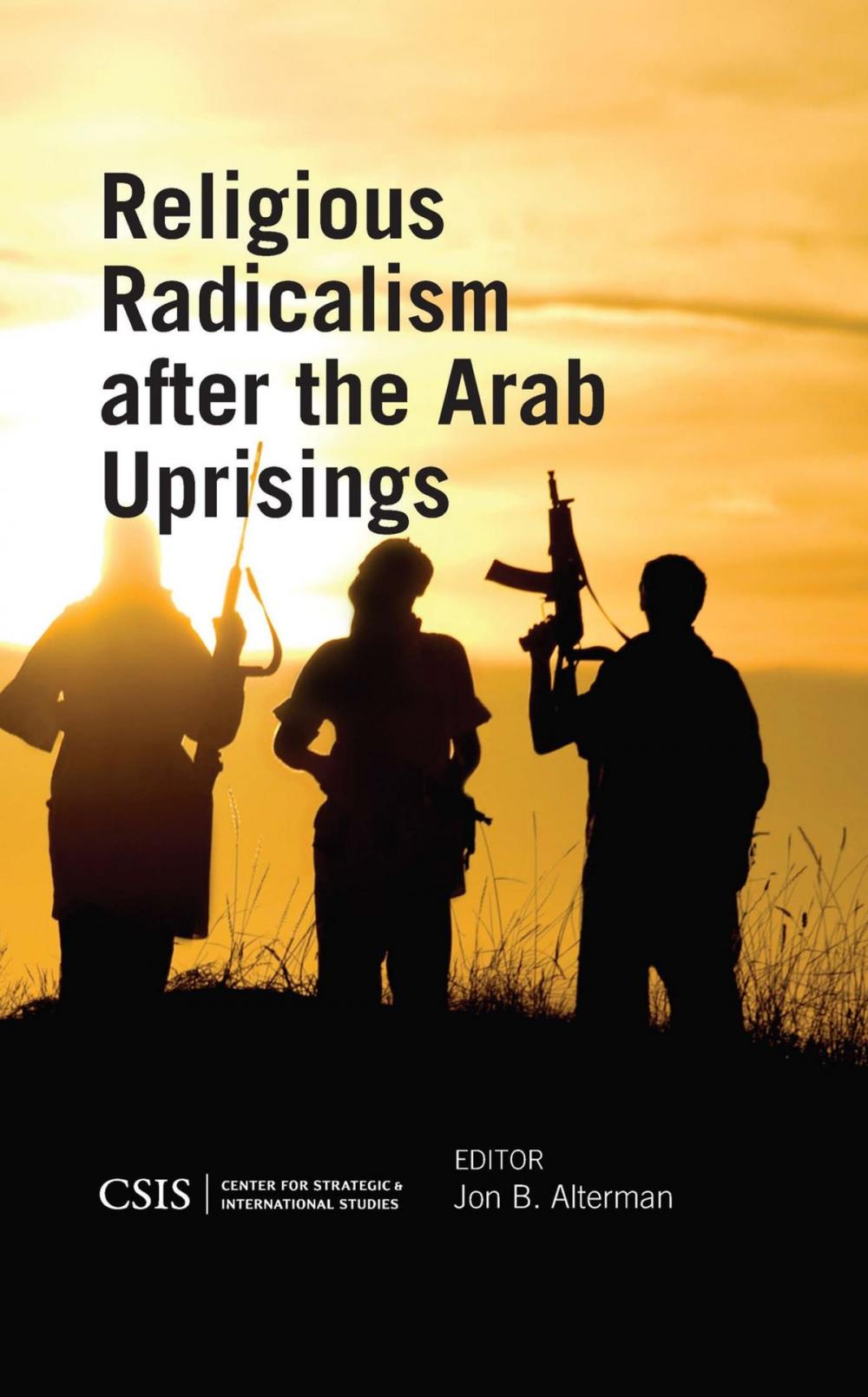 Big bigCover of Religious Radicalism after the Arab Uprisings