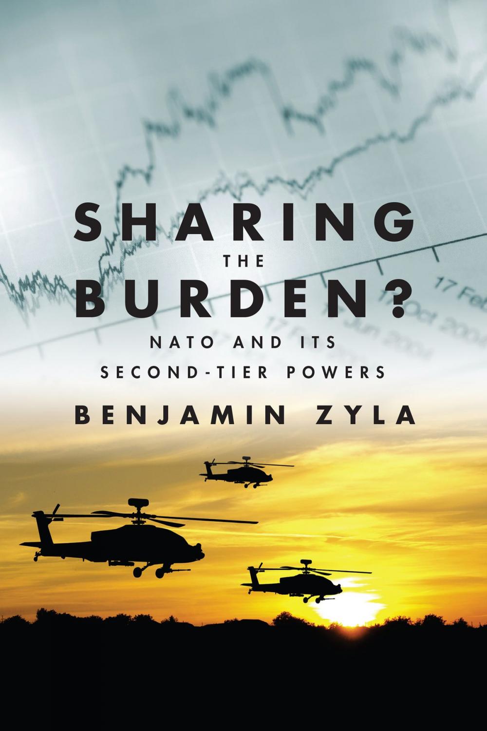 Big bigCover of Sharing the Burden?