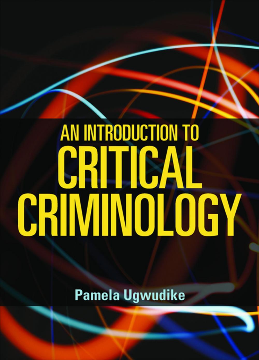 Big bigCover of An introduction to critical criminology