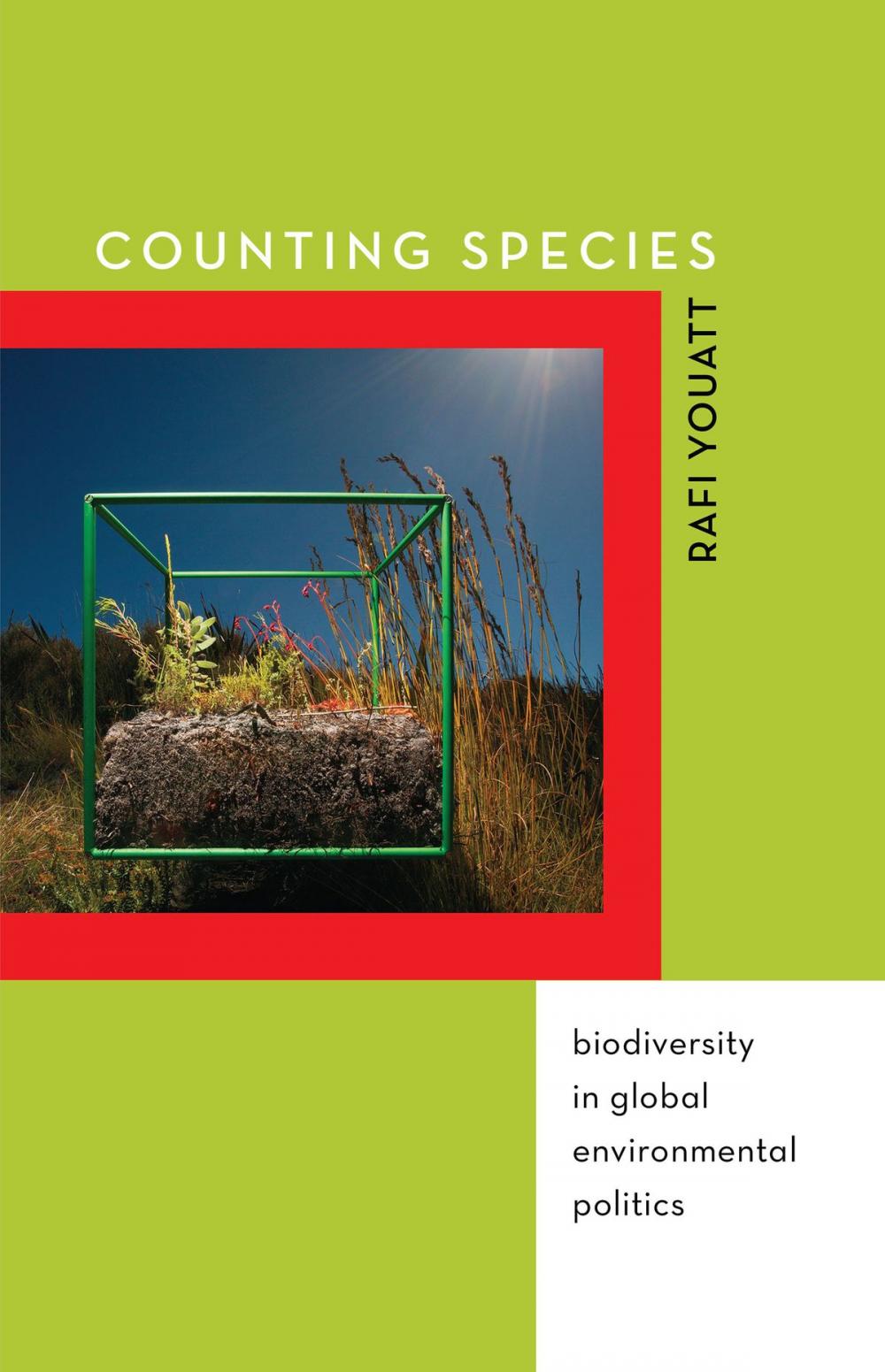 Big bigCover of Counting Species