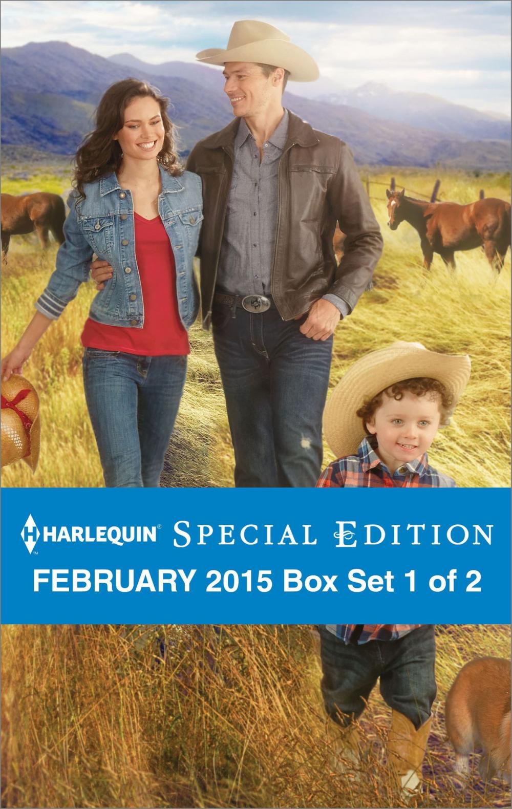 Big bigCover of Harlequin Special Edition February 2015 - Box Set 1 of 2