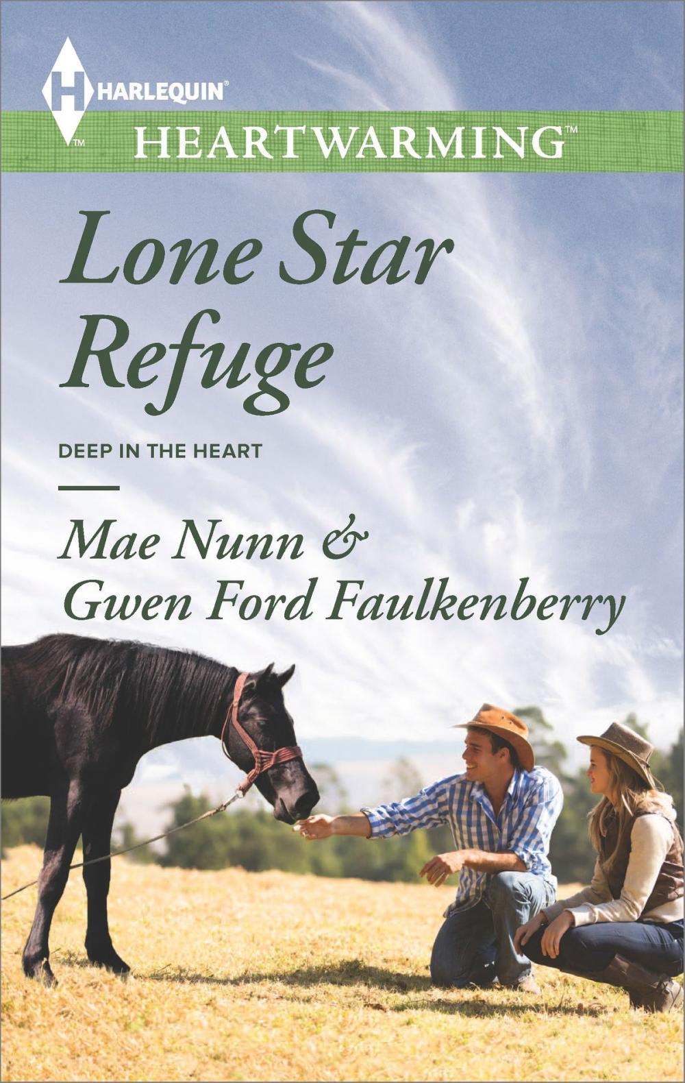 Big bigCover of Lone Star Refuge