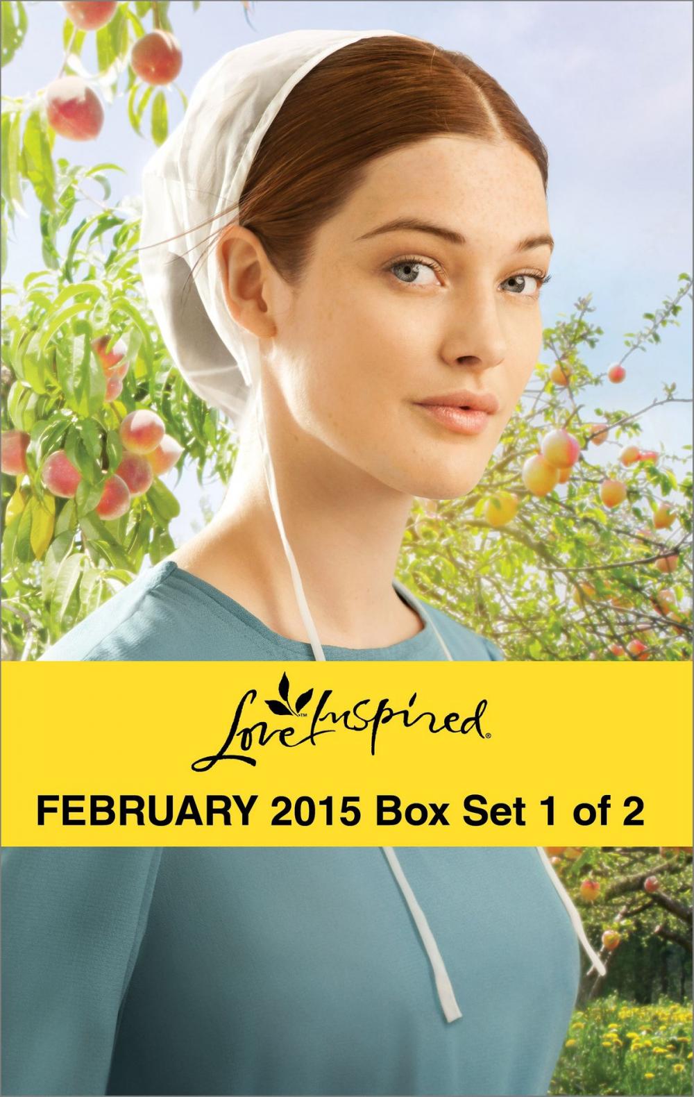 Big bigCover of Love Inspired February 2015 - Box Set 1 of 2