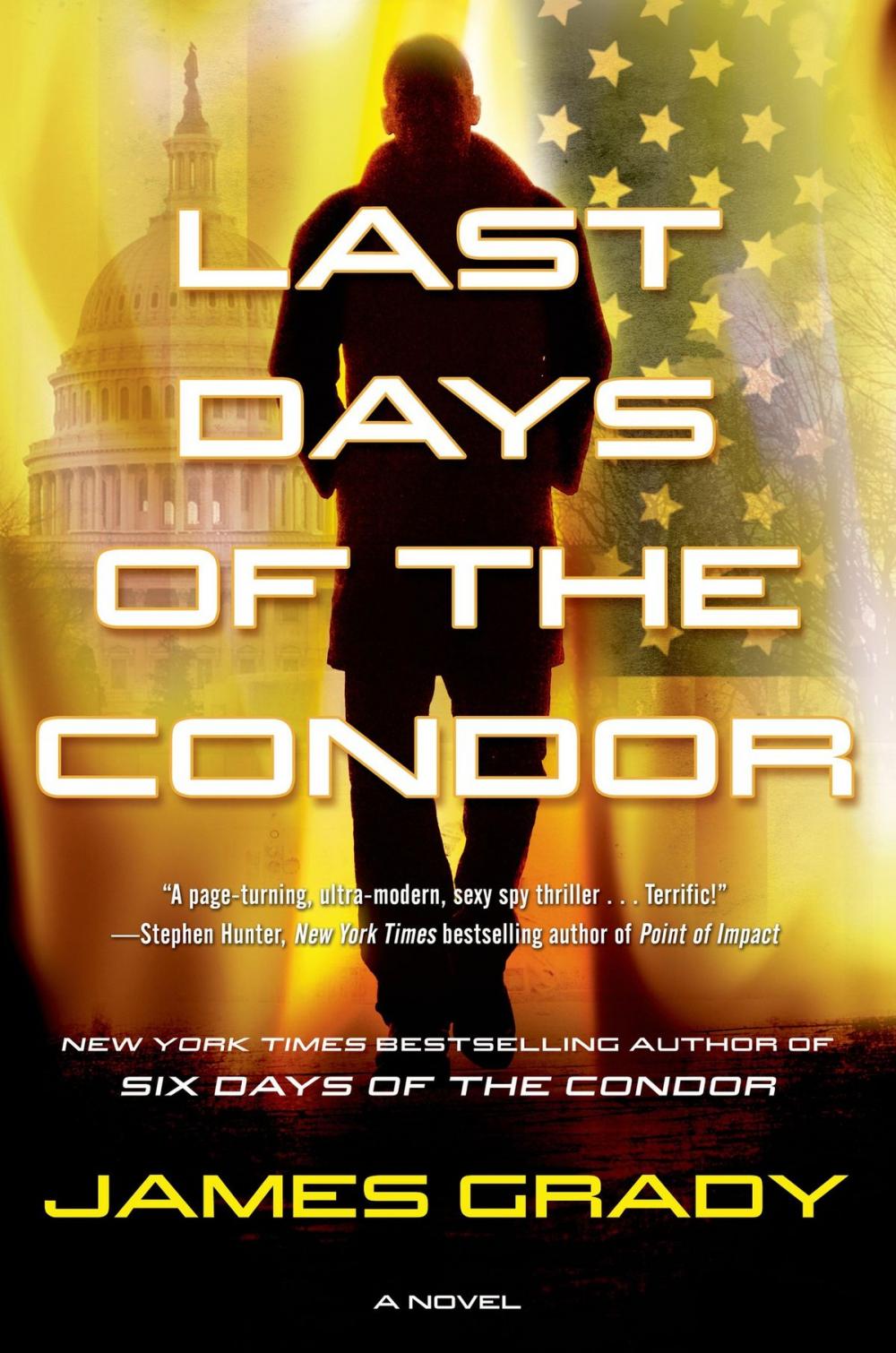 Big bigCover of Last Days of the Condor