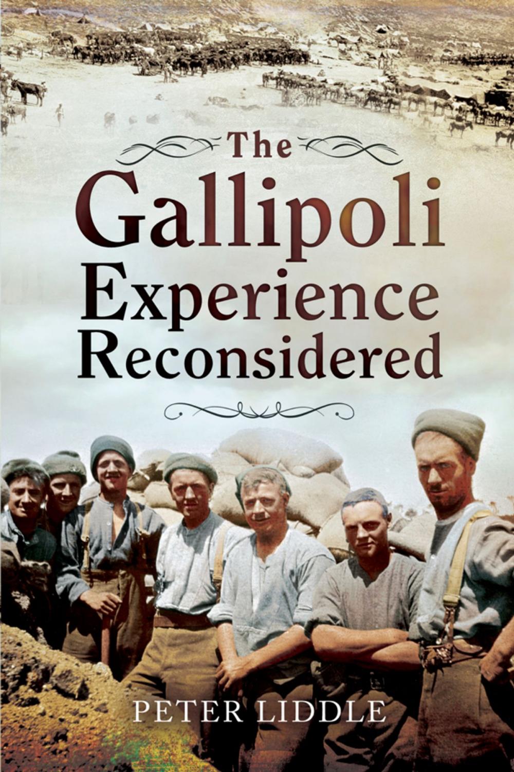 Big bigCover of The Gallipoli Experience Reconsidered