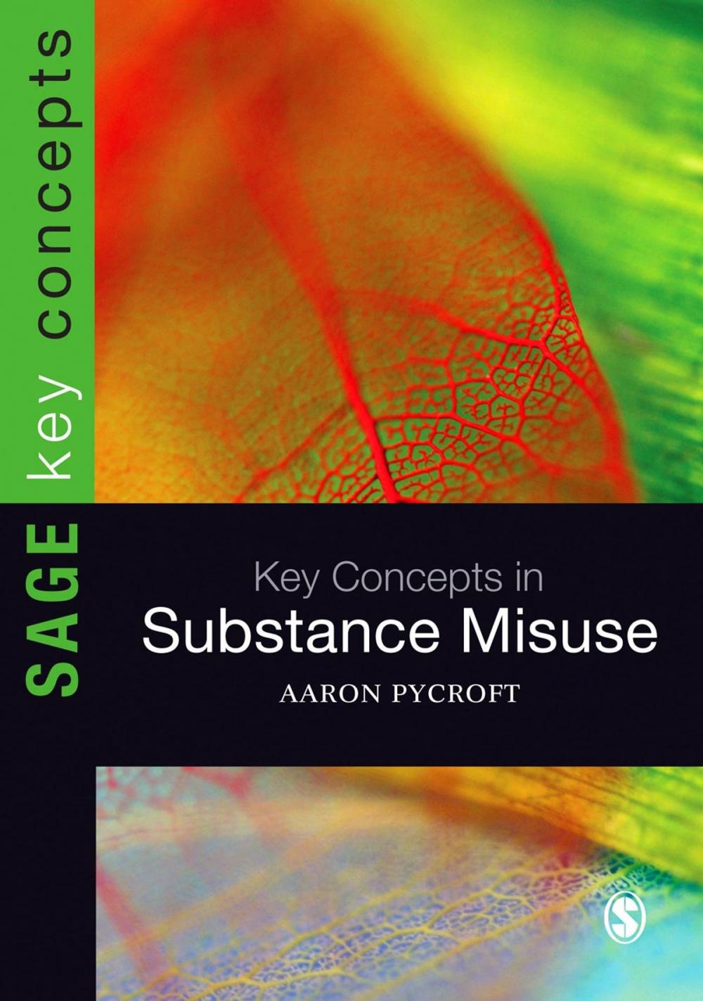 Big bigCover of Key Concepts in Substance Misuse