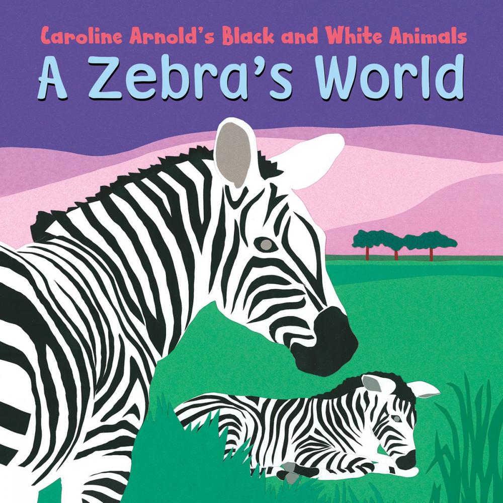 Big bigCover of A Zebra's World