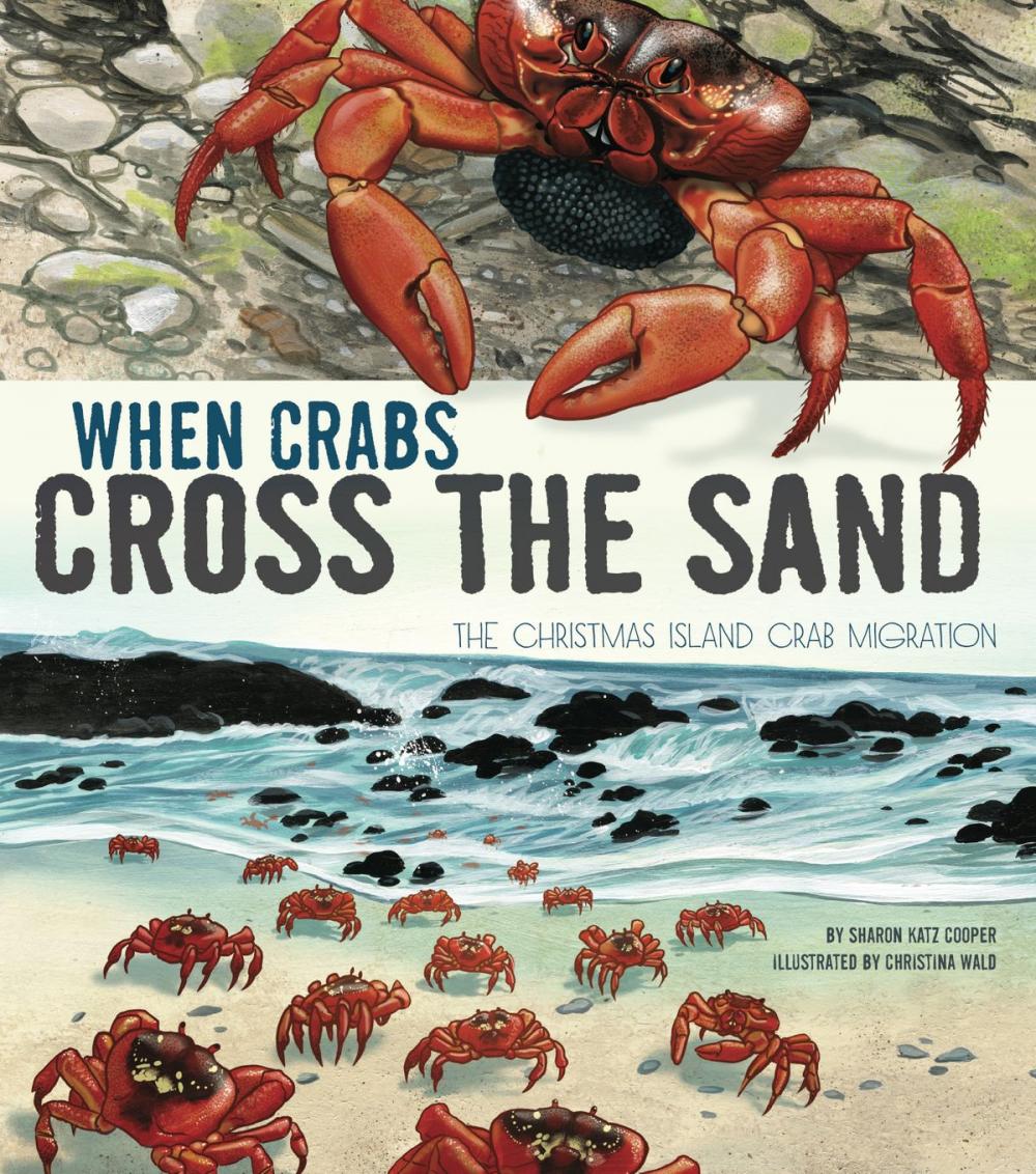 Big bigCover of When Crabs Cross the Sand