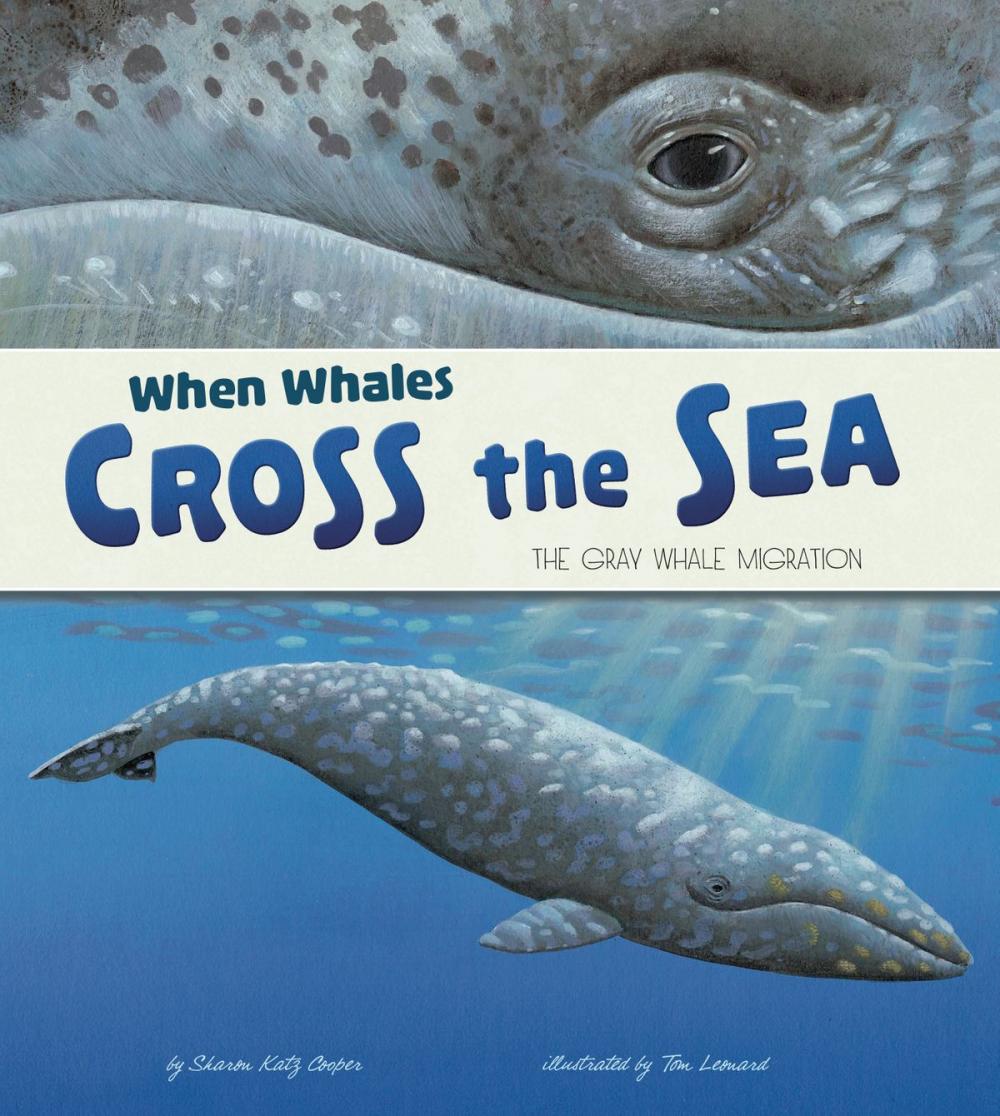 Big bigCover of When Whales Cross the Sea