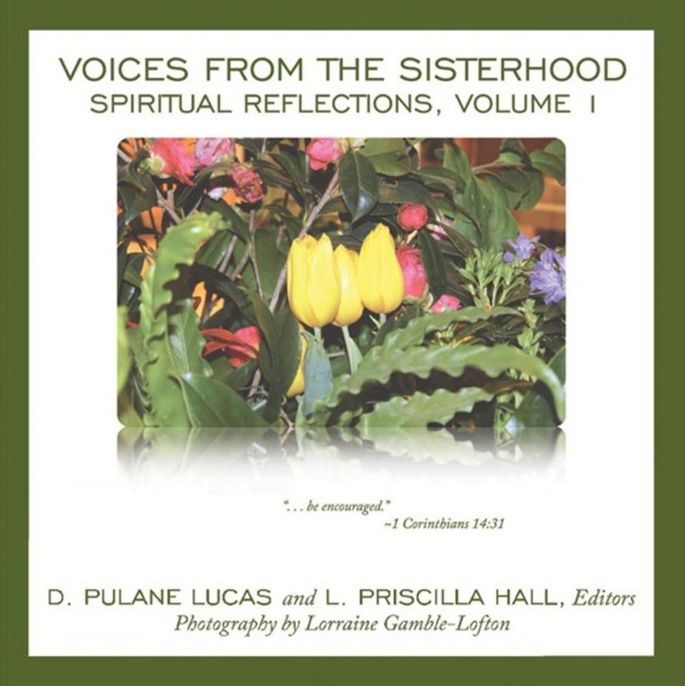 Big bigCover of Voices from the Sisterhood