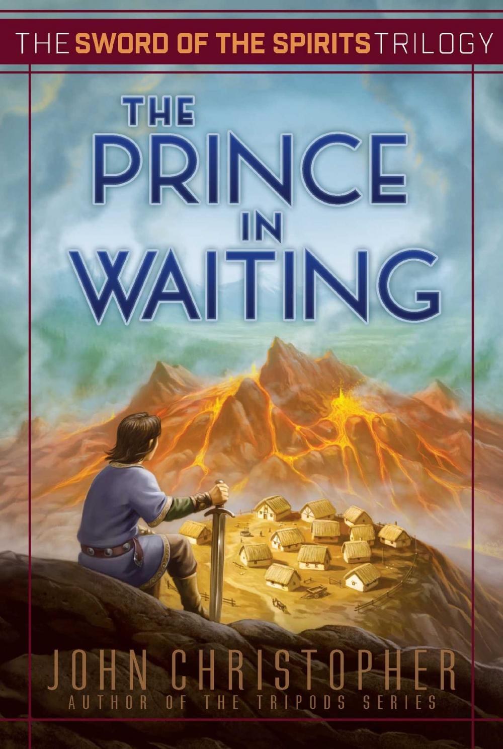 Big bigCover of The Prince in Waiting