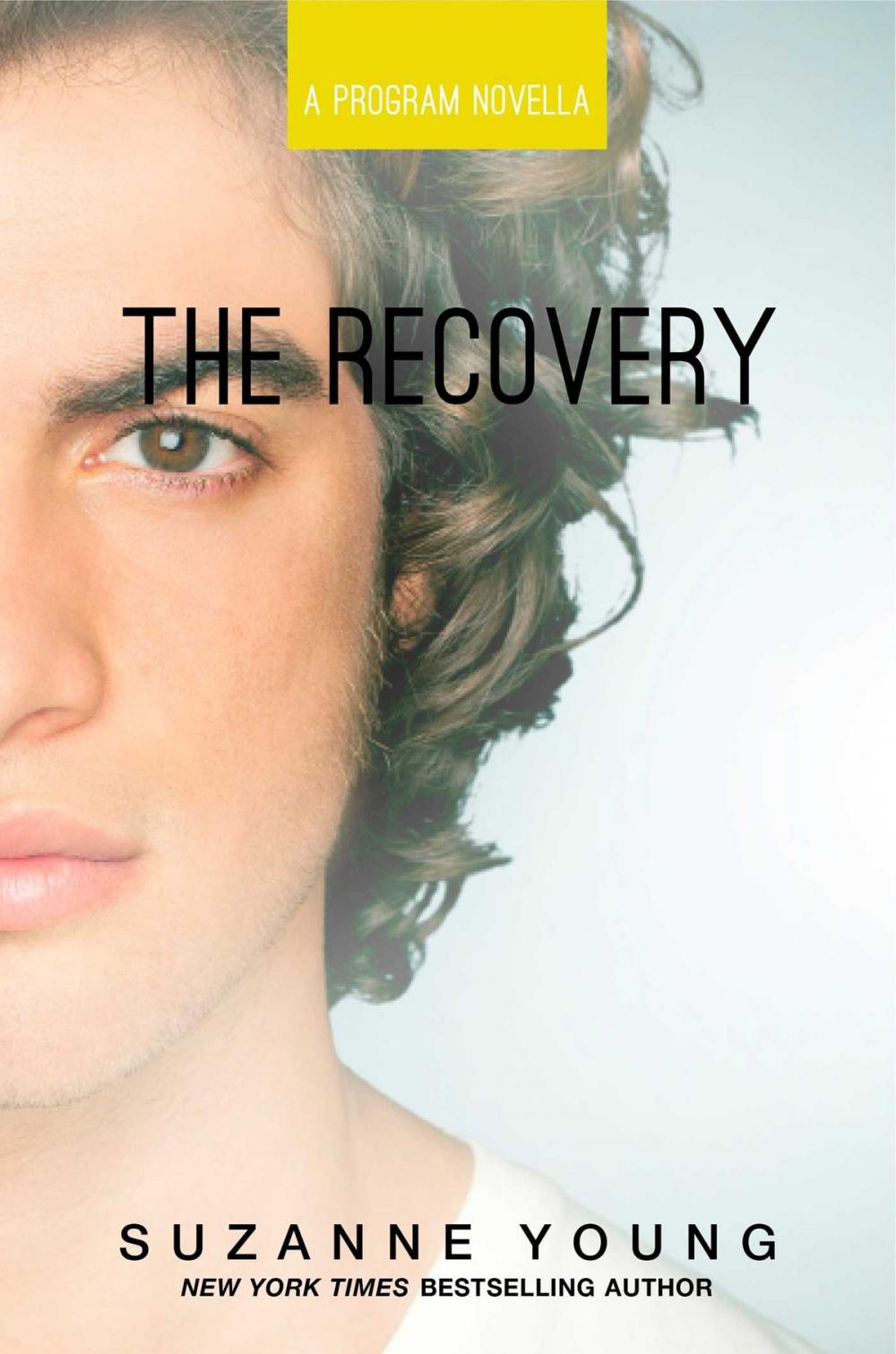 Big bigCover of The Recovery