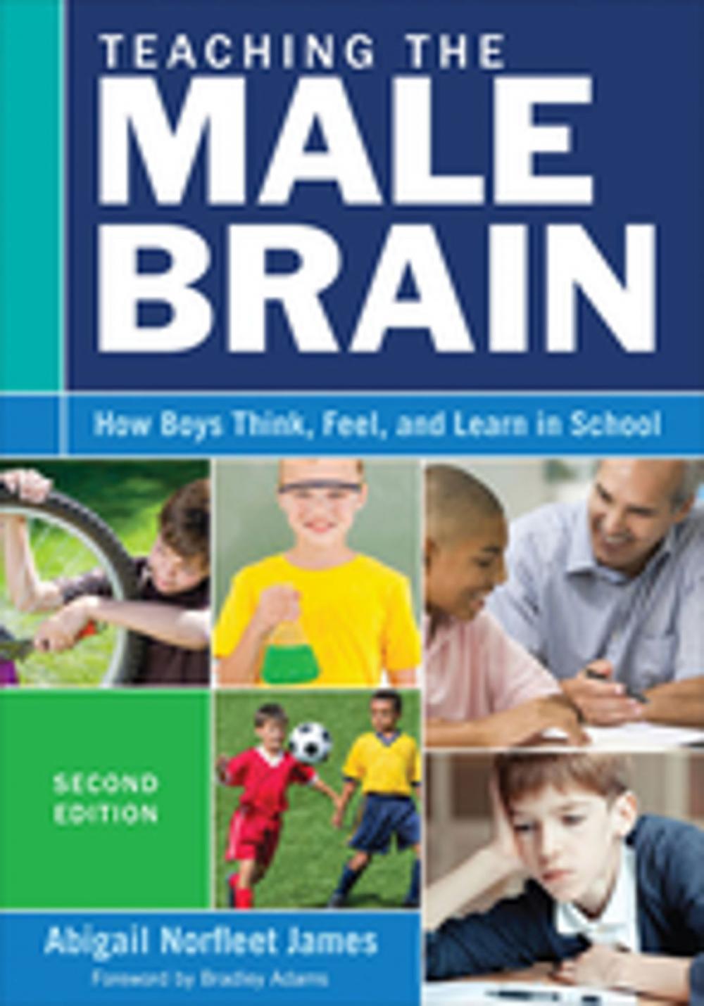 Big bigCover of Teaching the Male Brain