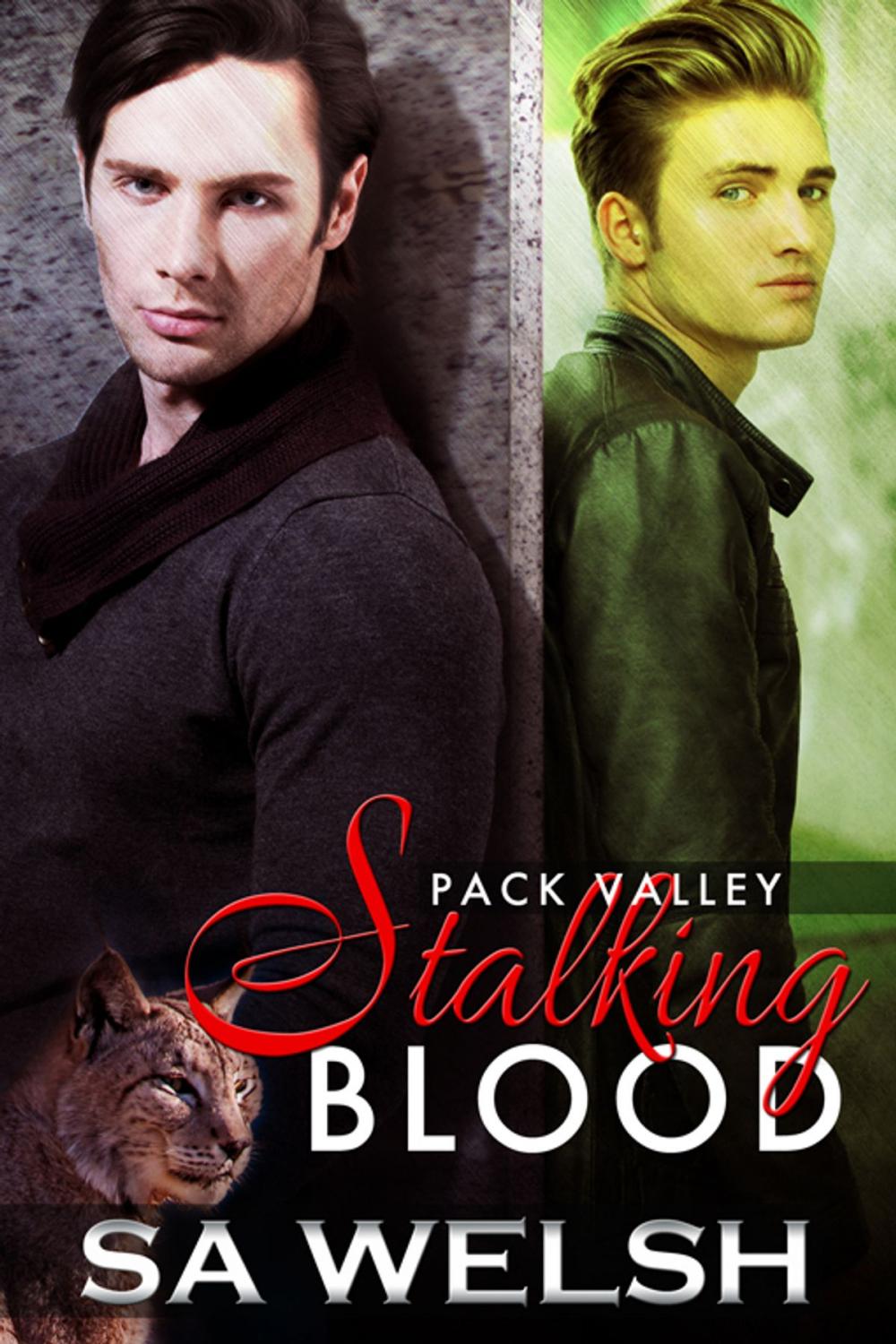 Big bigCover of Stalking Blood