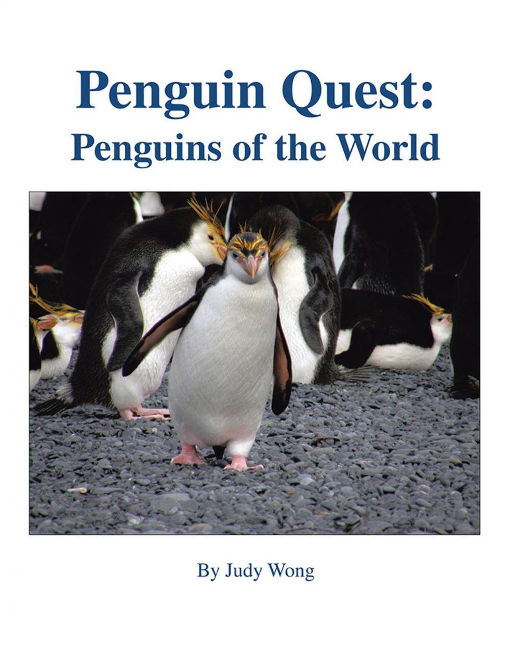 Big bigCover of Penguin Quest: