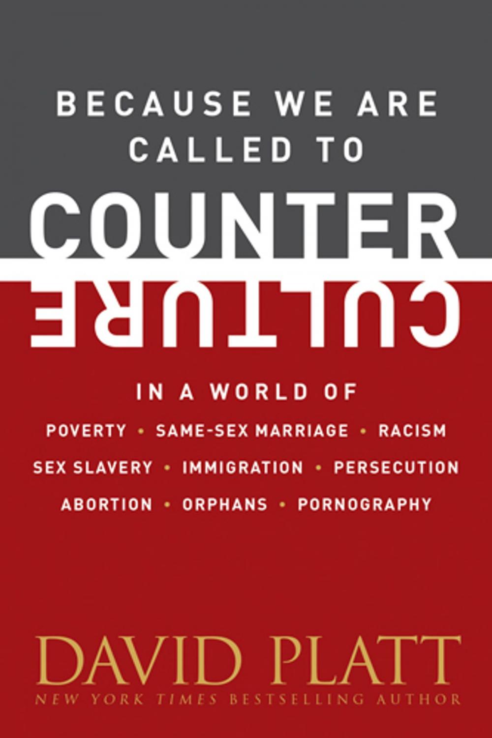 Big bigCover of Because We Are Called to Counter Culture