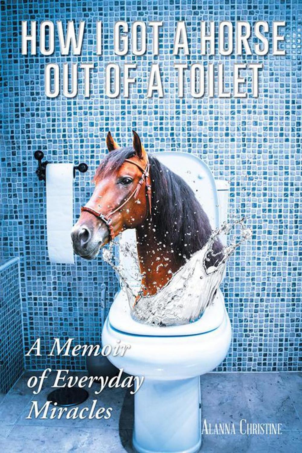 Big bigCover of How I Got a Horse out of a Toilet