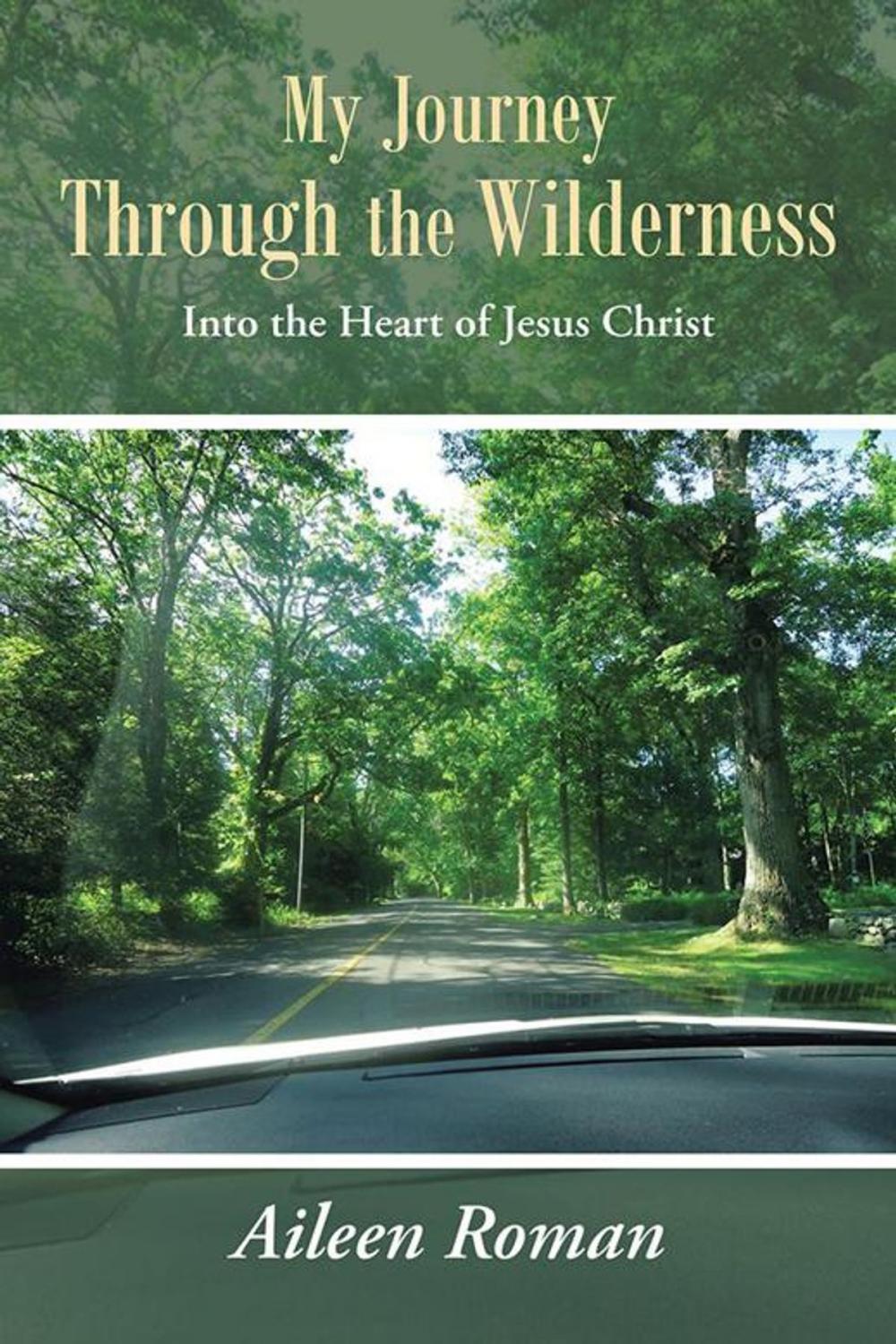 Big bigCover of My Journey Through the Wilderness