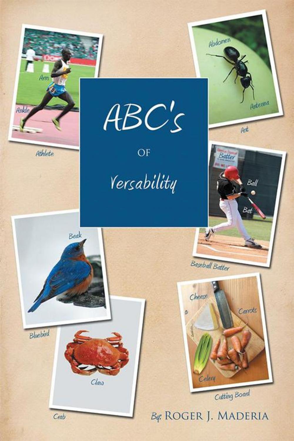 Big bigCover of Abc's of Versability