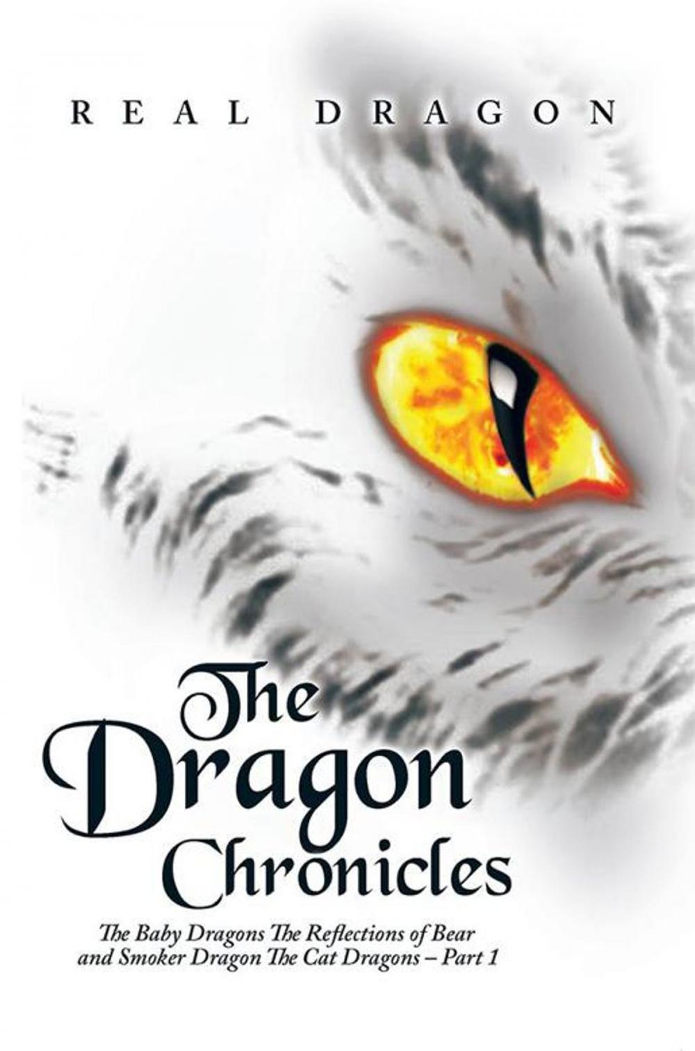 Big bigCover of The Dragon Chronicles