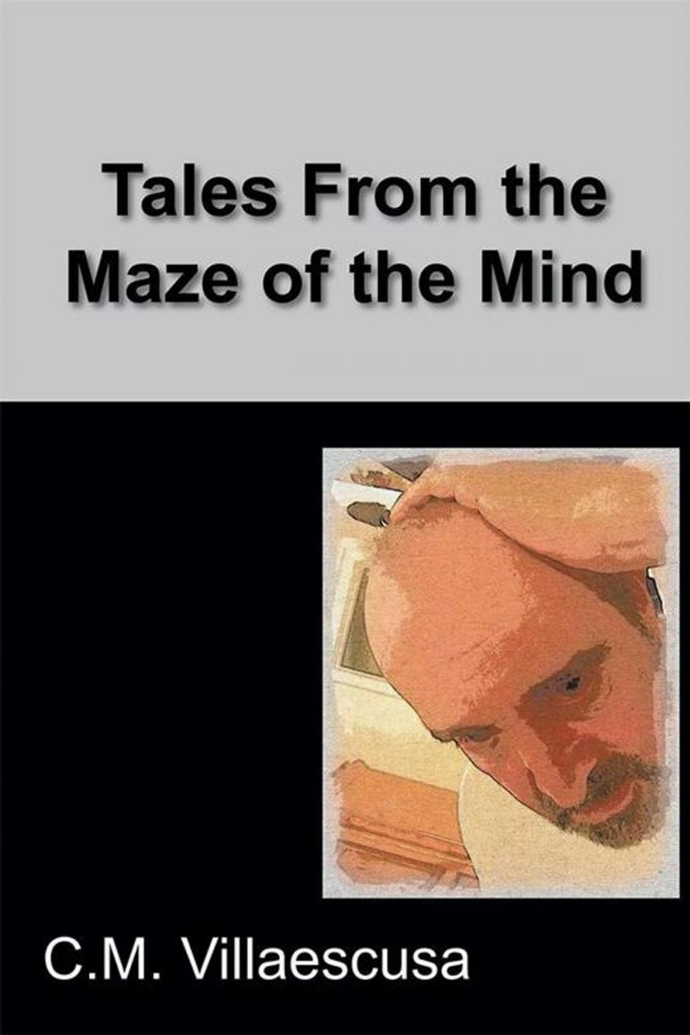 Big bigCover of Tales from the Maze of the Mind