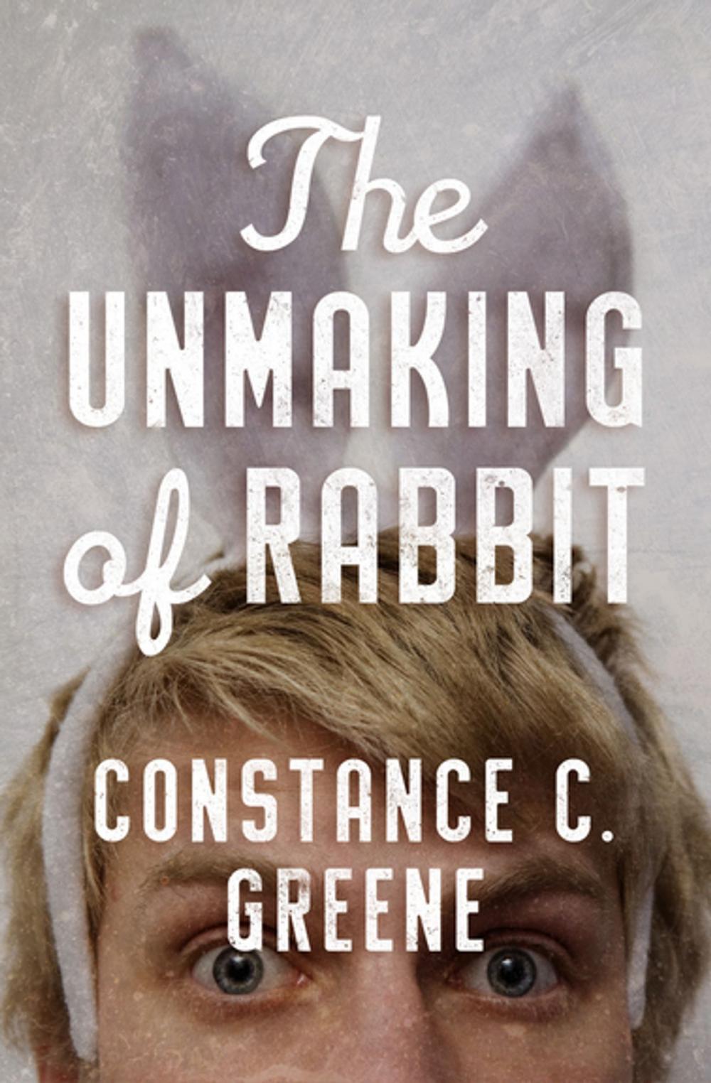 Big bigCover of The Unmaking of Rabbit