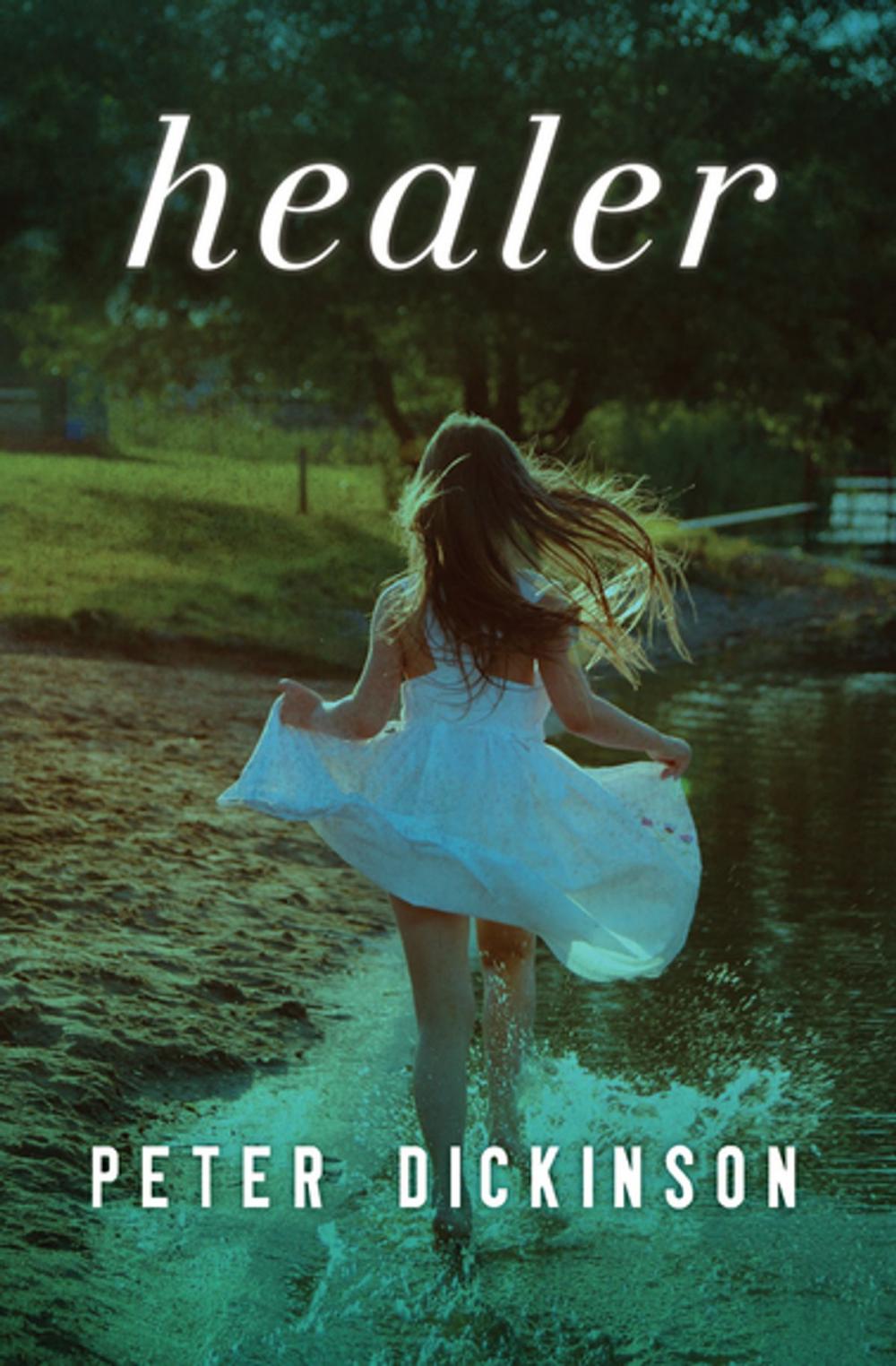 Big bigCover of Healer