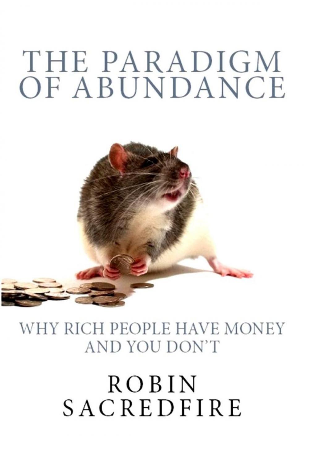 Big bigCover of The Paradigm of Abundance: Why Rich People Have Money and You Don't