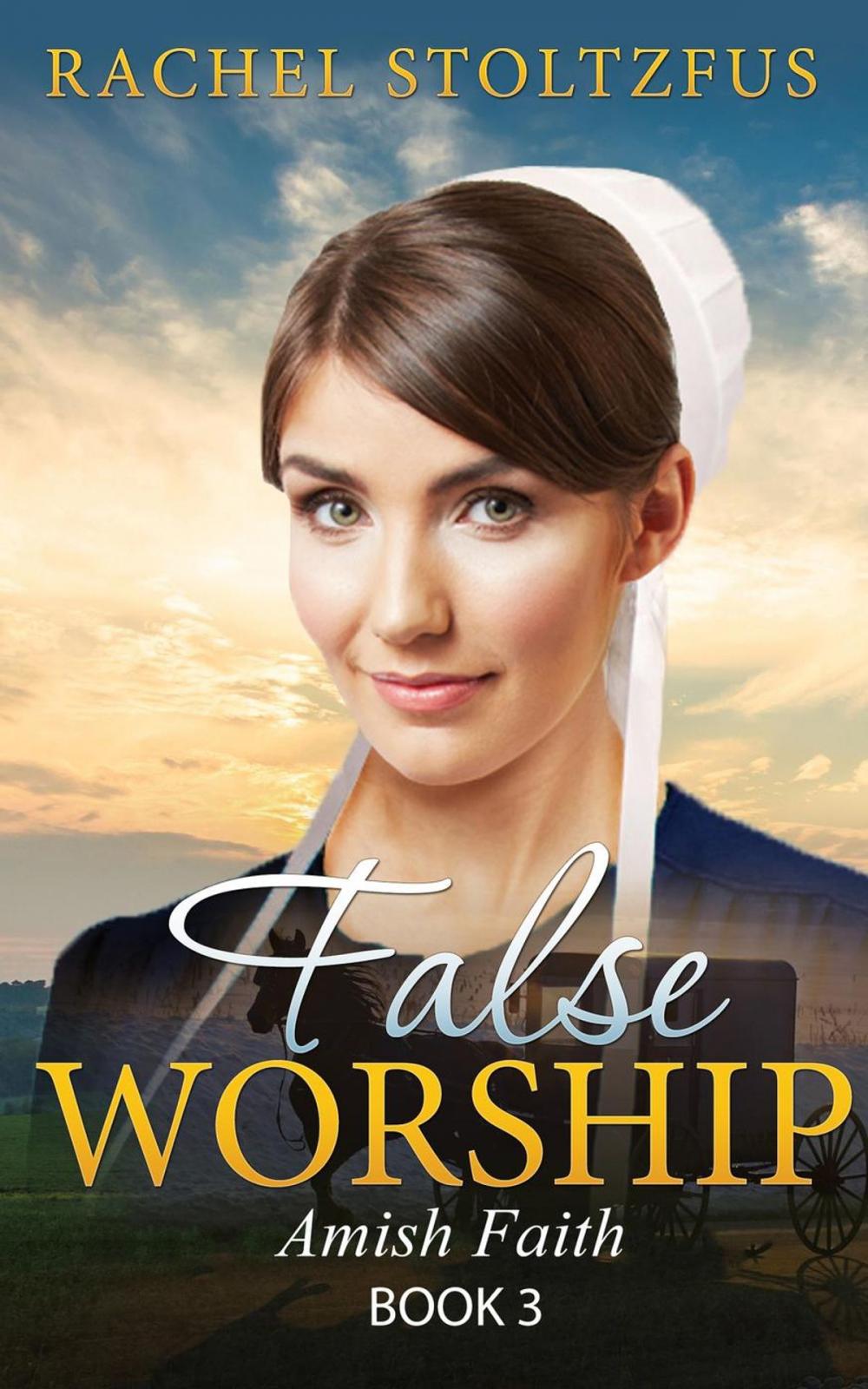 Big bigCover of Amish Home: False Worship - Book 3