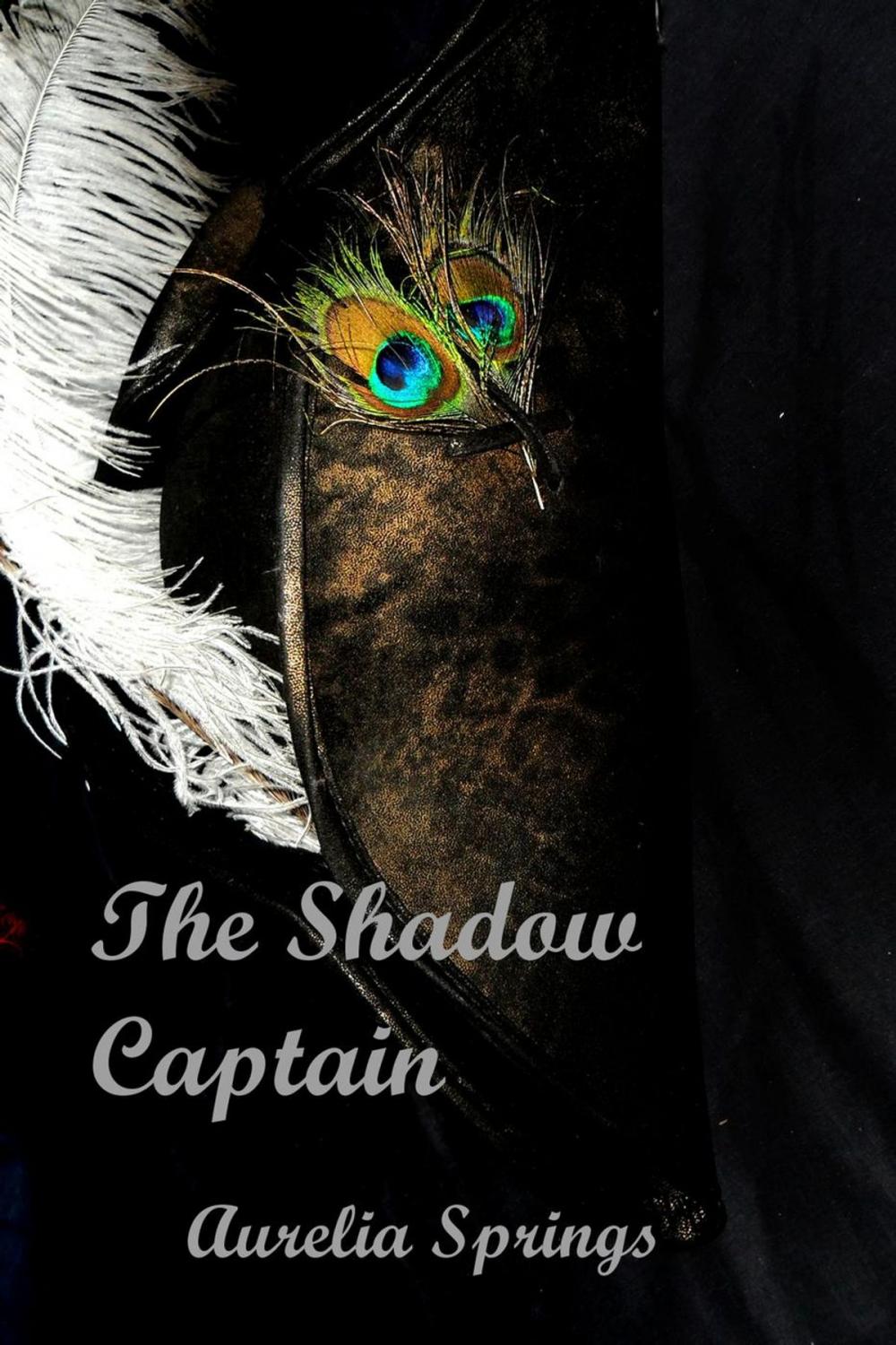 Big bigCover of The Shadow Captain