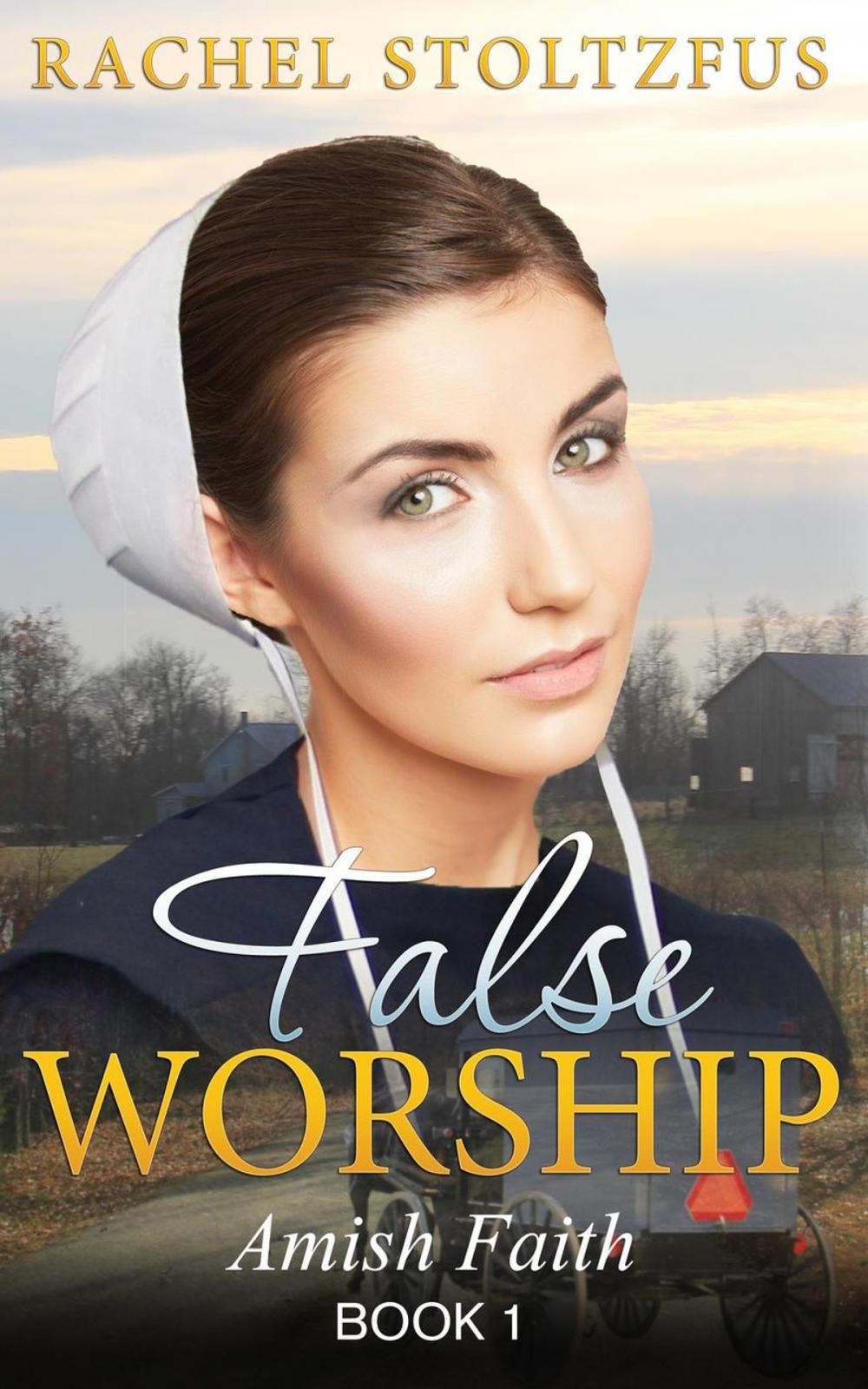 Big bigCover of Amish Home: False Worship - Book 1