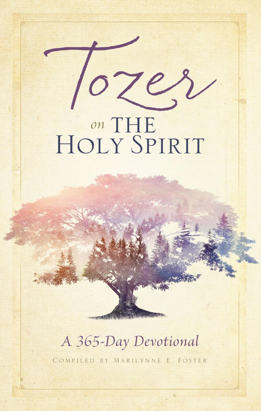 Big bigCover of Tozer on the Holy Spirit